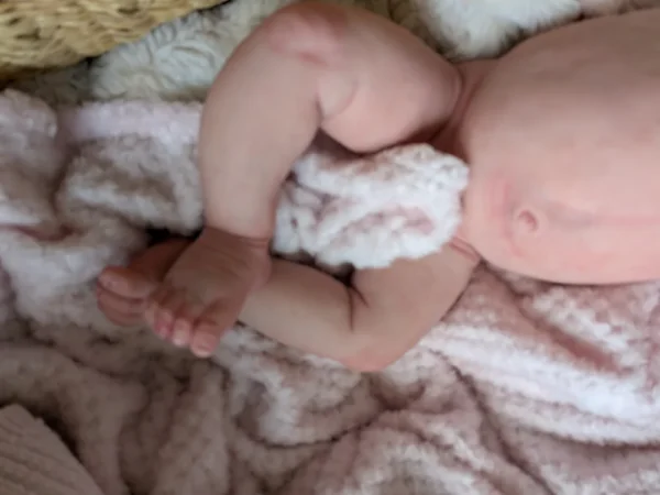 Lovey Bug